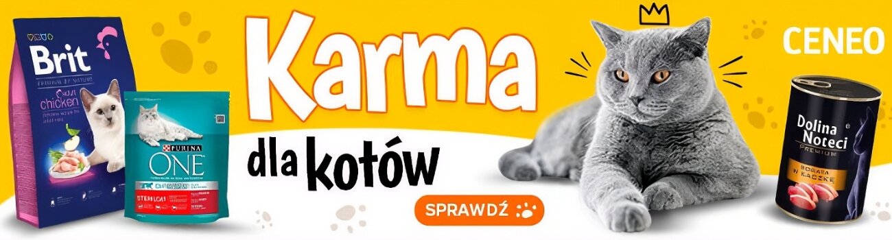 Karmy i akcesoria dla kotów