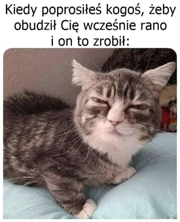 Śmieszny mem: 0001068 - MemLand