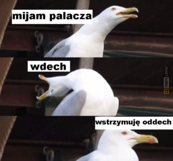Śmieszny mem: 0004154 - MemLand
