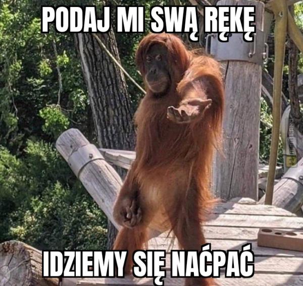 Śmieszny mem: 0004977 - MemLand