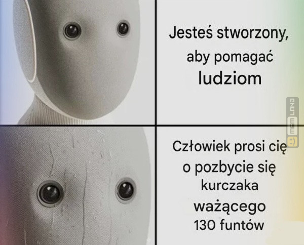 Śmieszny mem: 0008021 - MemLand