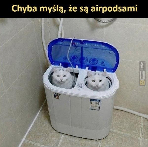 Śmieszny mem: 0008922 - MemLand