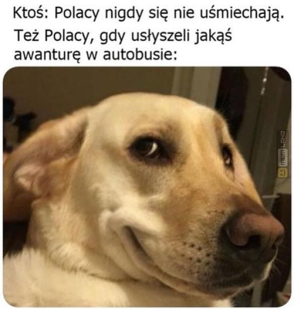 Śmieszny mem: 0012879 - MemLand