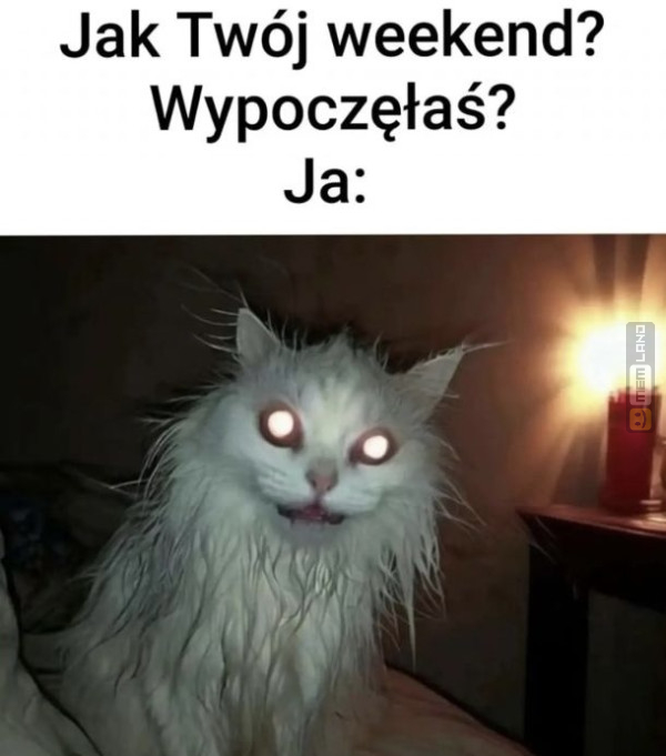 Śmieszny mem: 0024075 - MemLand