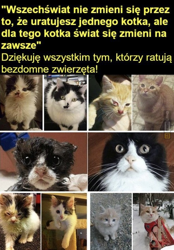 Śmieszny mem: 0025177 - MemLand