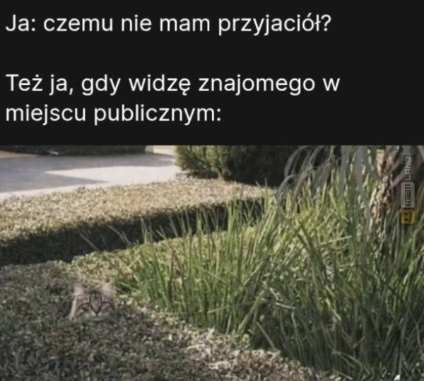 Śmieszny mem: 0025491 - MemLand