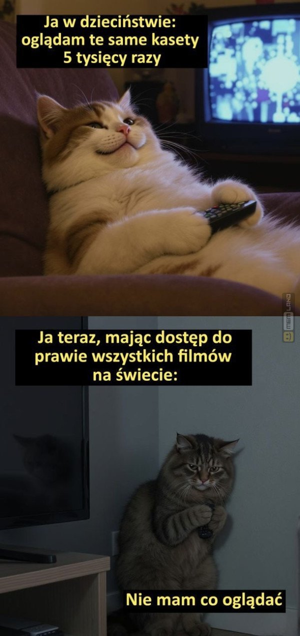 Śmieszny mem: 0029344 - MemLand