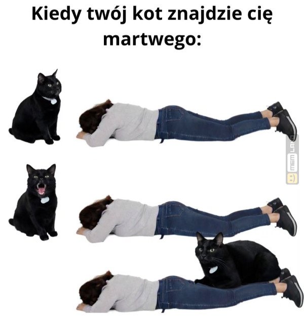 Śmieszny mem: 0029568 - MemLand