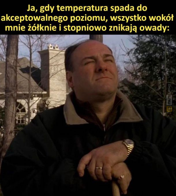 Śmieszny mem: 0030185 - MemLand