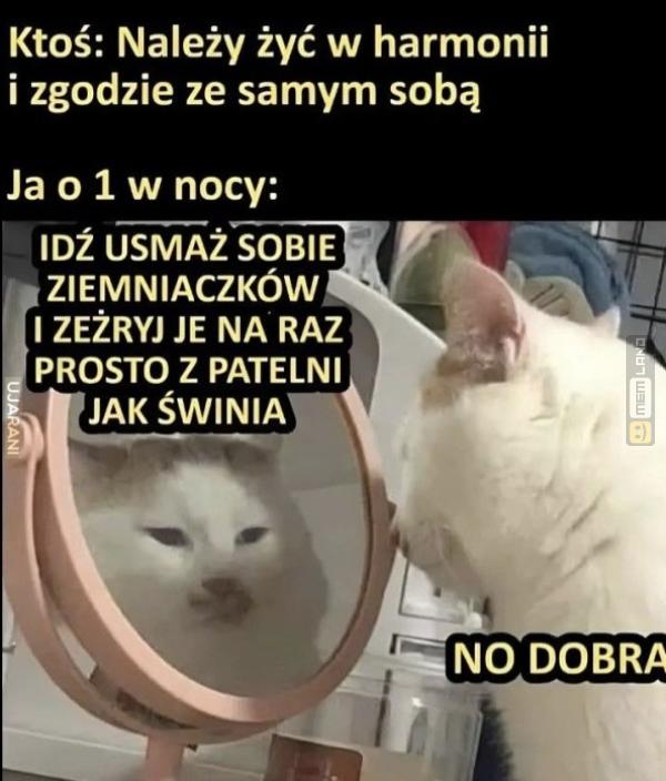 Śmieszny mem: 0037012 - MemLand