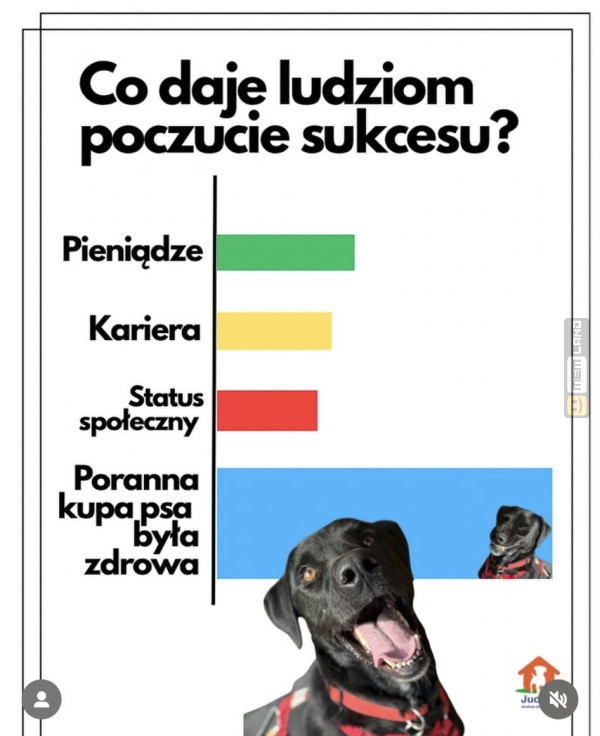 Śmieszny mem: 0041628 - MemLand