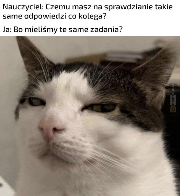 Śmieszny mem: 0042991 - MemLand