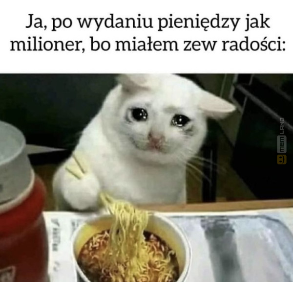 Śmieszny mem: 0044246 - MemLand