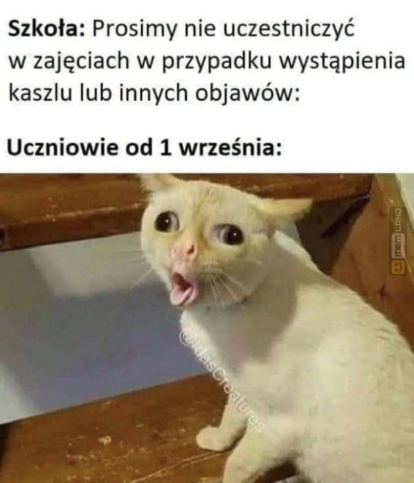 Śmieszny mem: 0045733 - MemLand