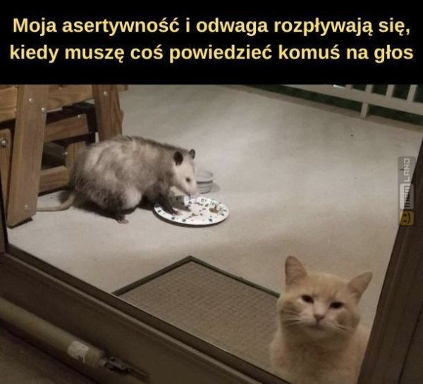 Śmieszny mem: 0048423 - MemLand