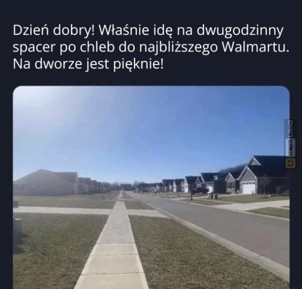 Śmieszny mem: 0050672 - MemLand