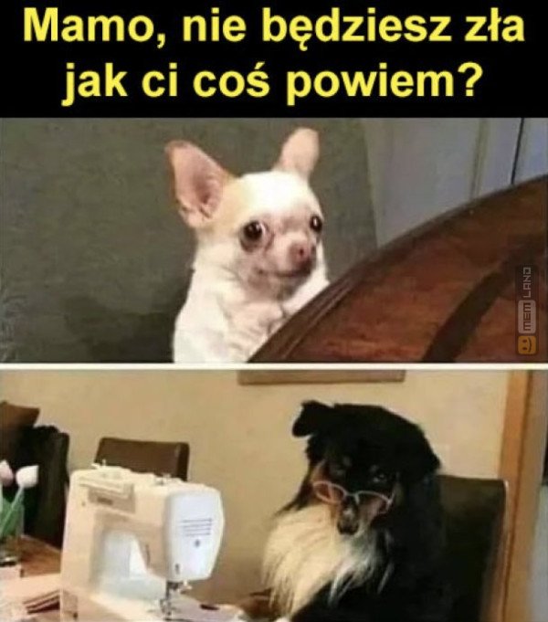 Śmieszny mem: 0052876 - MemLand