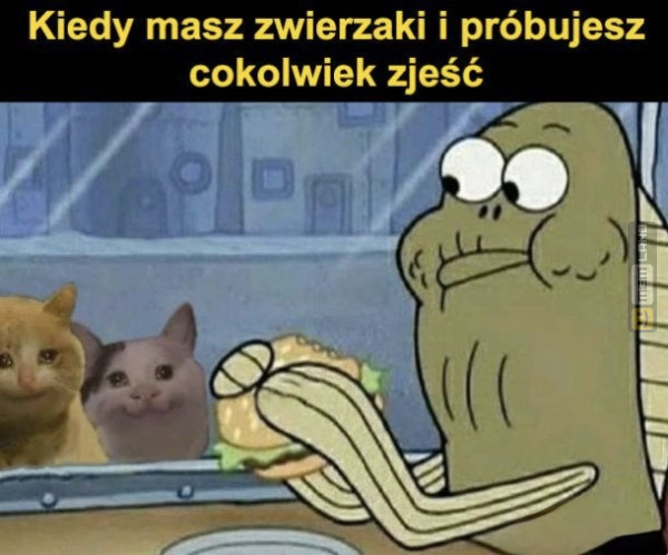Śmieszny mem: 0053757 - MemLand