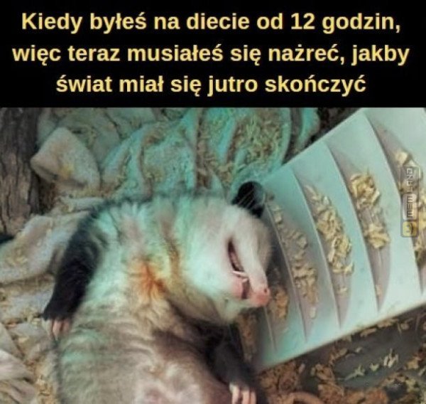 Śmieszny mem: 0055099 - MemLand