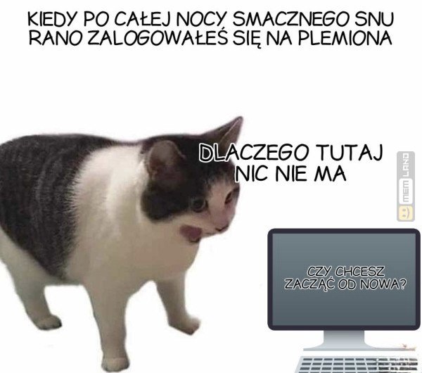 Śmieszny mem: 0055873 - MemLand
