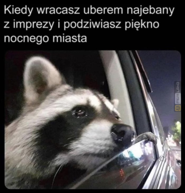 Śmieszny mem: 0058853 - MemLand