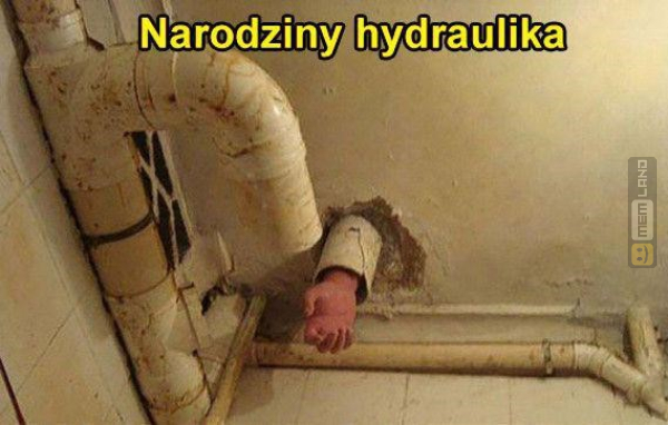 Śmieszny mem: 0059162 - MemLand