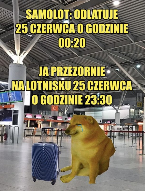 Śmieszny mem: 0089632 - MemLand
