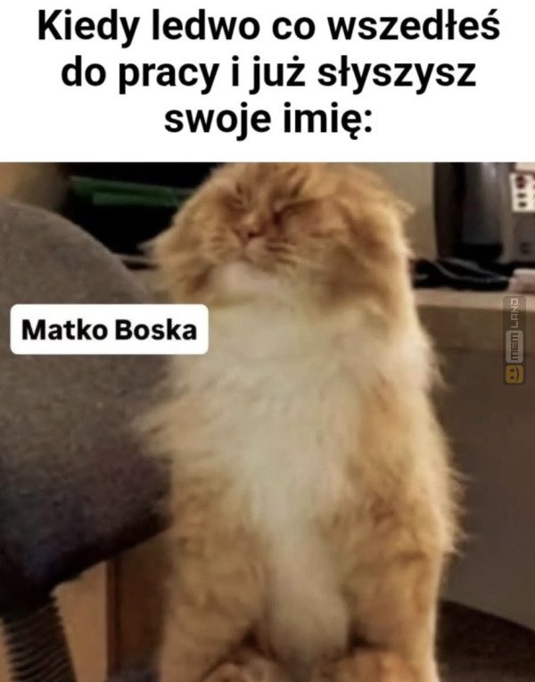 Śmieszny mem: 0102764 - MemLand