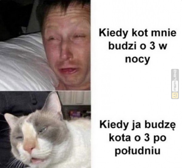 Śmieszny mem: 0114746 - MemLand