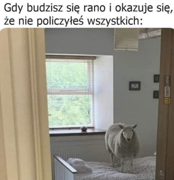 Śmieszny mem: 0121652 - MemLand