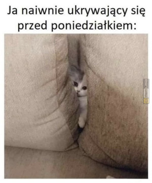 Śmieszny mem: 0126051 - MemLand