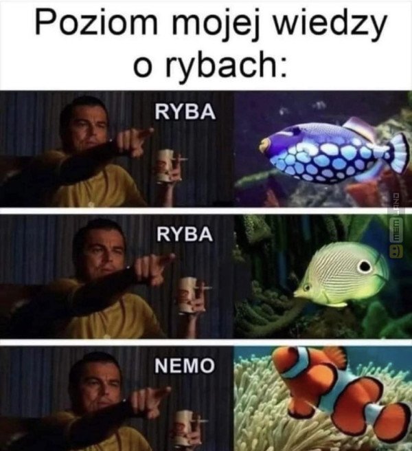 Śmieszny mem: 0128924 - MemLand