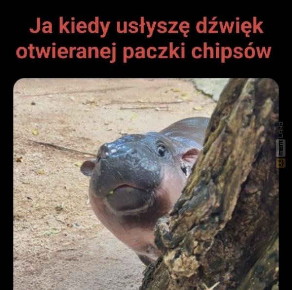 Śmieszny mem: 0132620 - MemLand