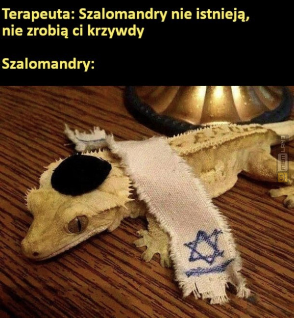 Śmieszny mem: 0142885 - MemLand