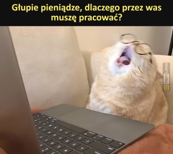 Śmieszny mem: 0150309 - MemLand