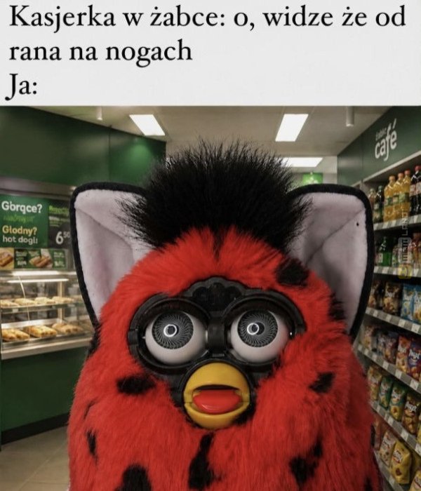 Śmieszny mem: 0153166 - MemLand