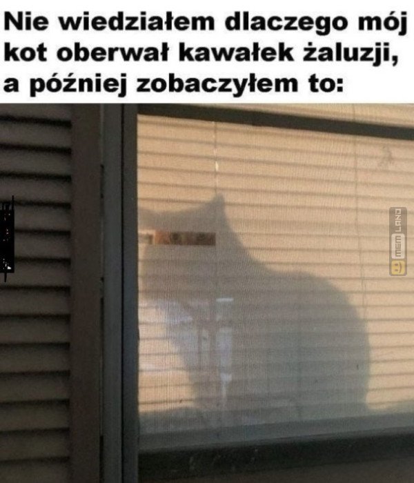 Śmieszny mem: 0153226 - MemLand