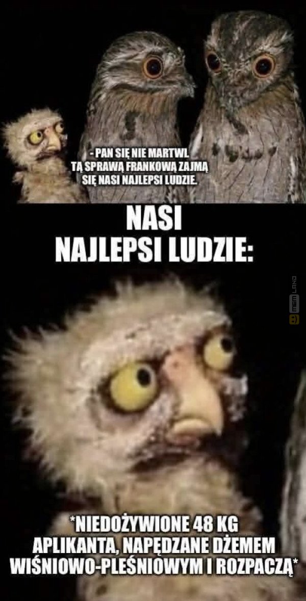 Śmieszny mem: 0159502 - MemLand