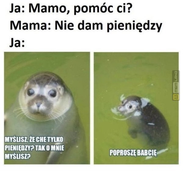 Śmieszny mem: 0163545 - MemLand