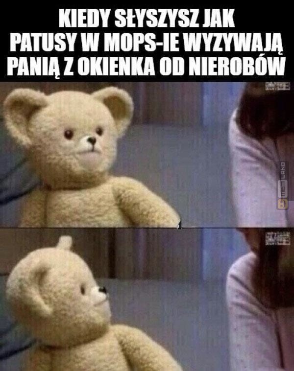 Śmieszny mem: 0169335 - MemLand
