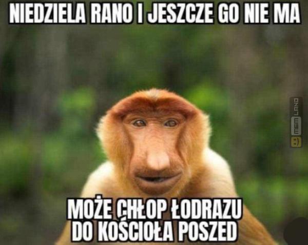 Śmieszny mem: 0176075 - MemLand