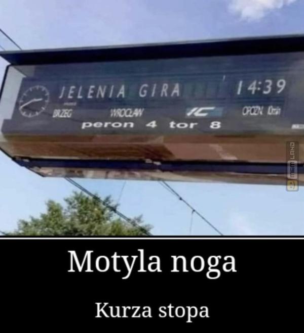 Śmieszny mem: 0176197 - MemLand