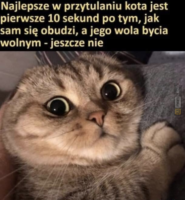 Śmieszny mem: 0179266 - MemLand