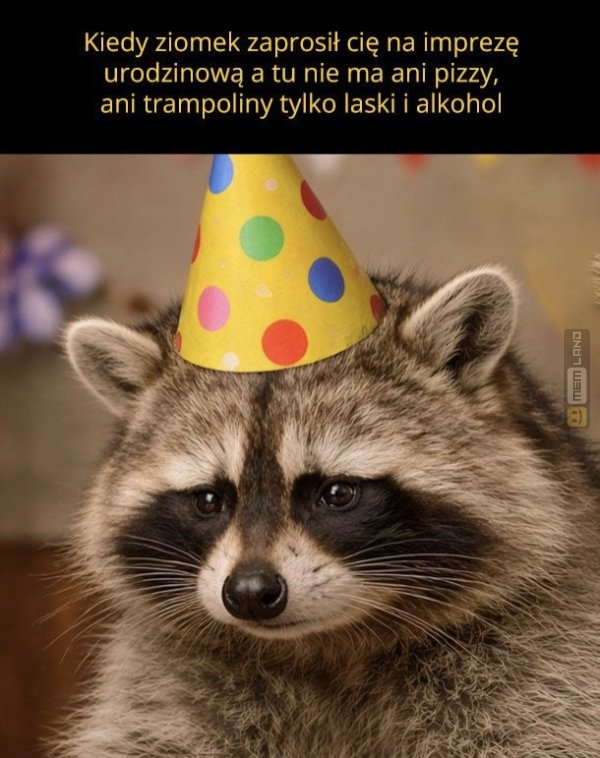 Śmieszny mem: 0179322 - MemLand