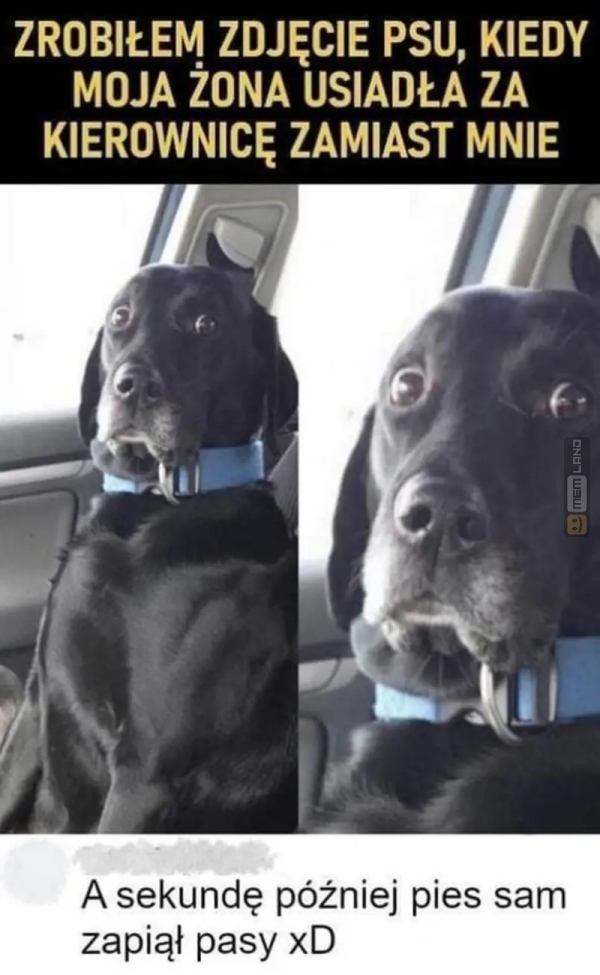 Śmieszny mem: 0193383 - MemLand