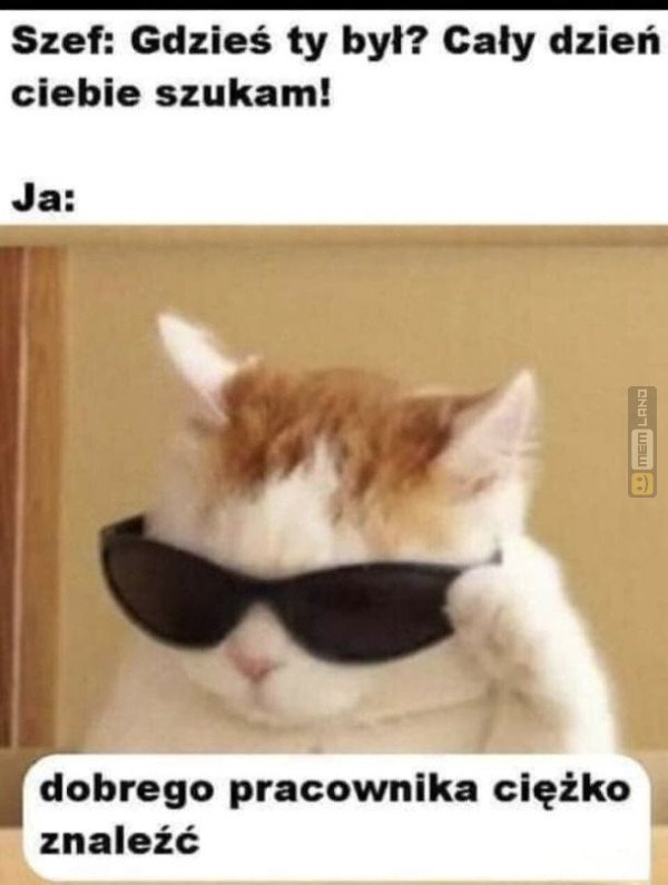 Śmieszny mem: 0198494 - MemLand