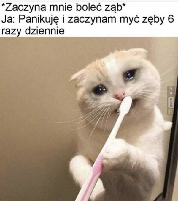 Śmieszny mem: 0199979 - MemLand