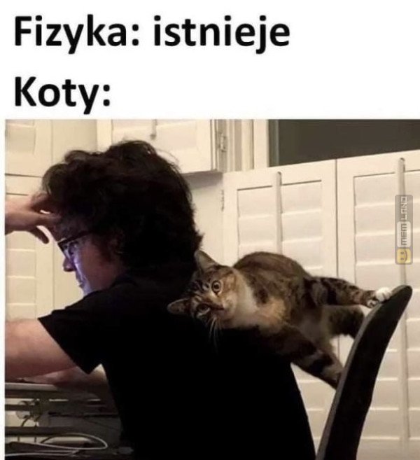 Śmieszny mem: 0204114 - MemLand