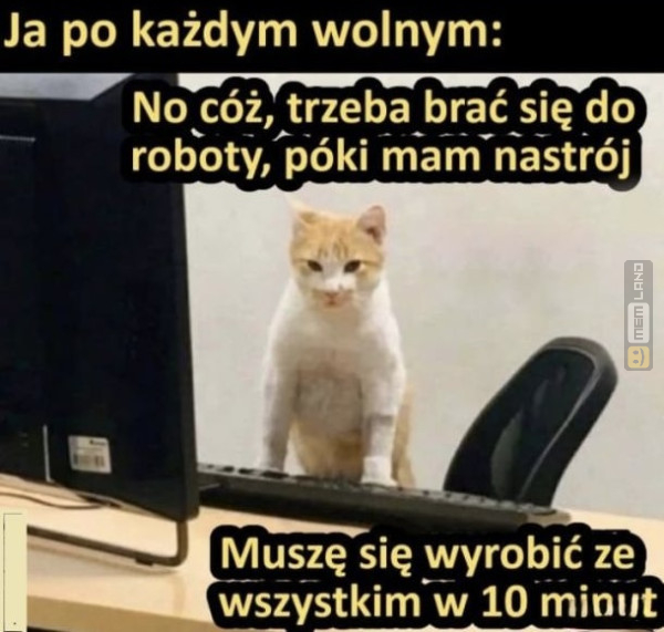 Śmieszny mem: 0214863 - MemLand