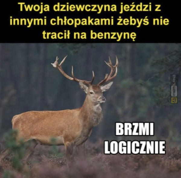 Śmieszny mem: 0218380 - MemLand